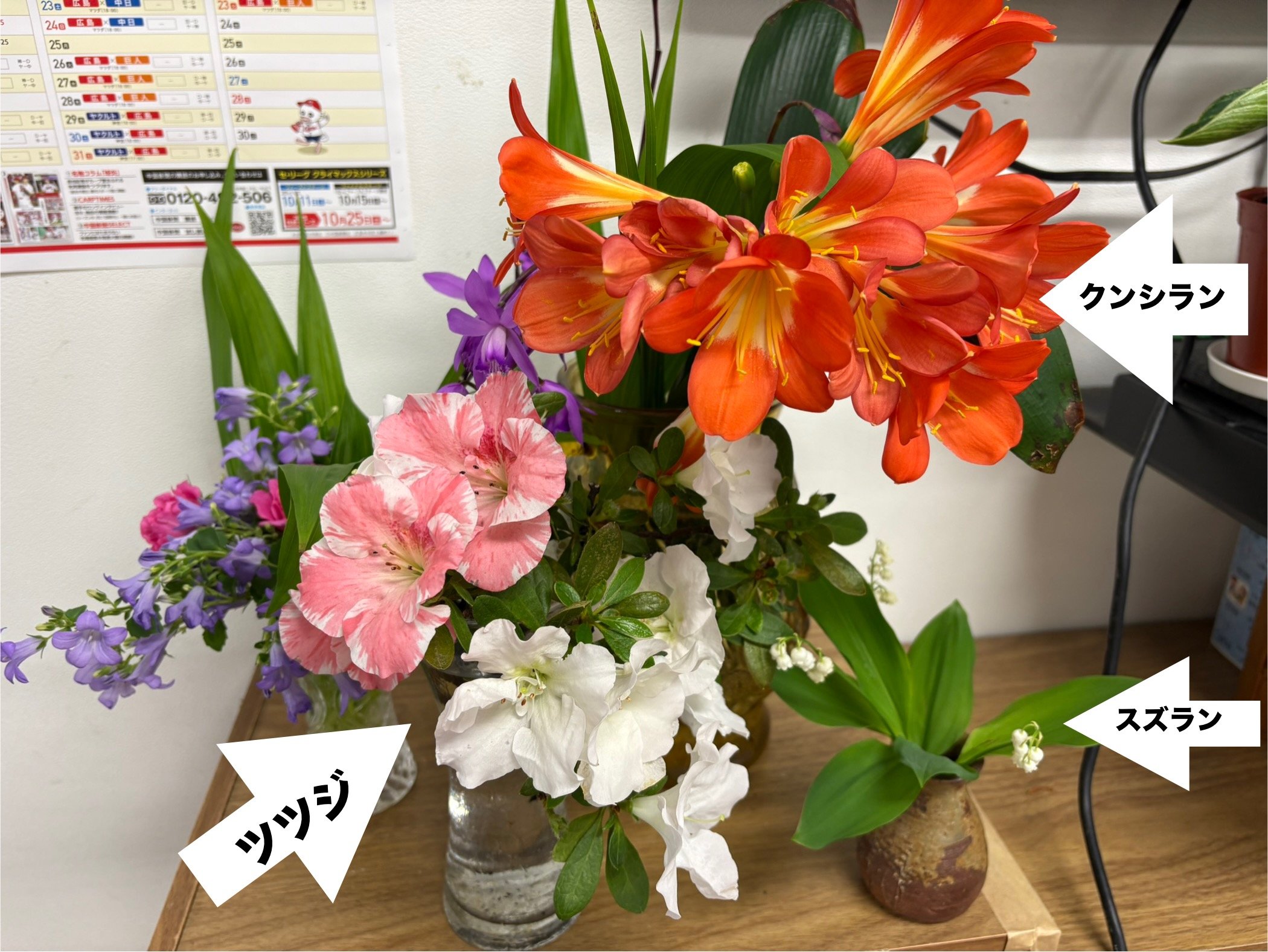 IMG_3273 - コピー.JPG