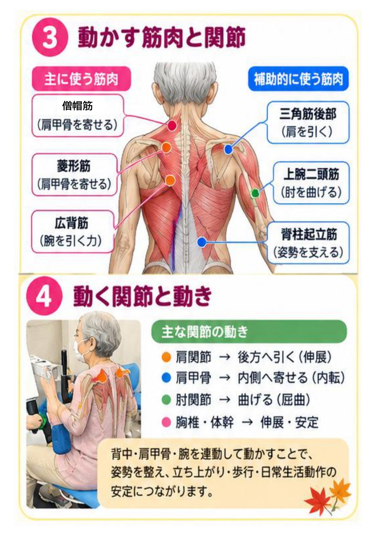 リハプライド通信R8.11-2_page-0004.jpg