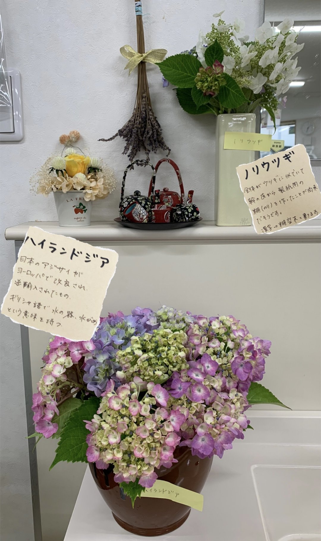 IMG_2937.JPEG