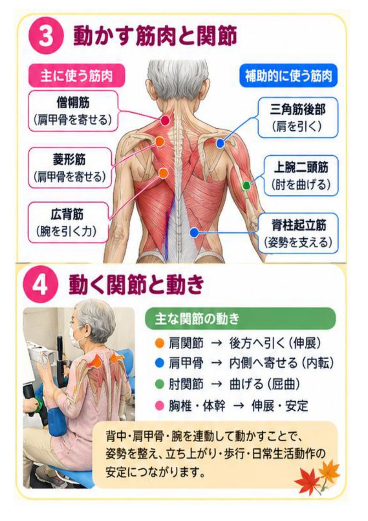 リハプライド通信R8.11_西舞鶴版_page-0004.jpg