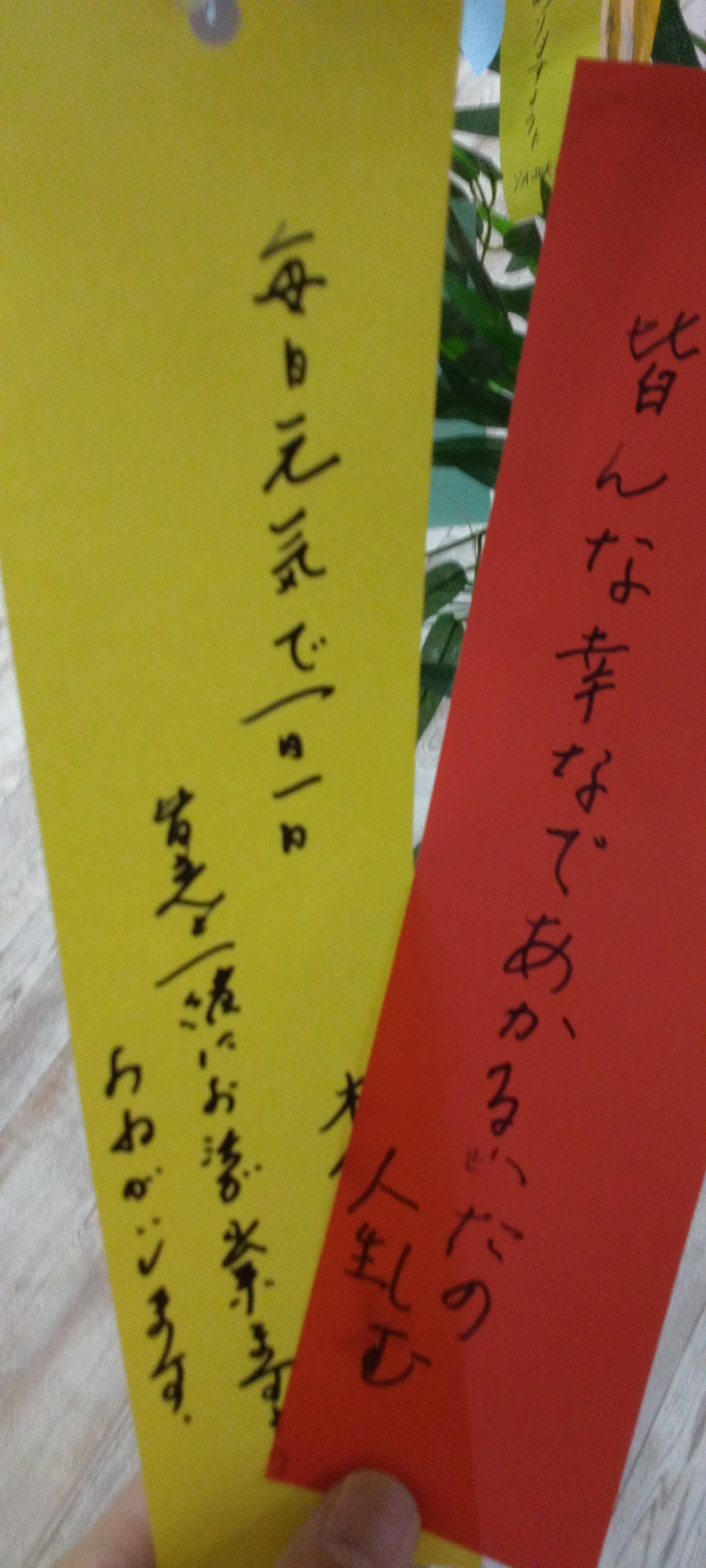 KIMG0478.JPG